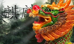 Chi Lin Ochrany